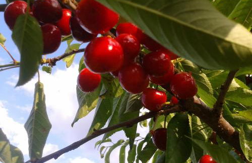 Apartamentos La Borda Castillon - Foto 14