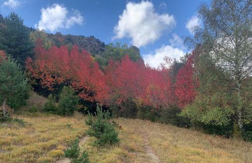 El Estacho de Panticosa - Photo 33