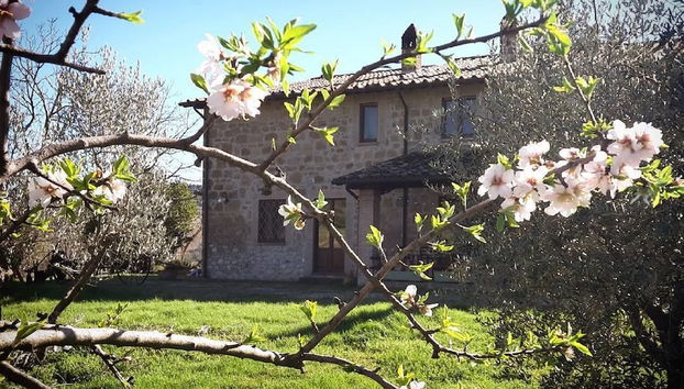 Agriturismo Cioccoleta - Foto 2, Immagine principale