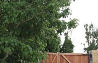 Peaceful Cotswolds Cottage - Stow-on-the-Wold, Owl Cottage - Photo 53