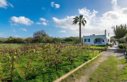 Blue Beach House - Foto 23