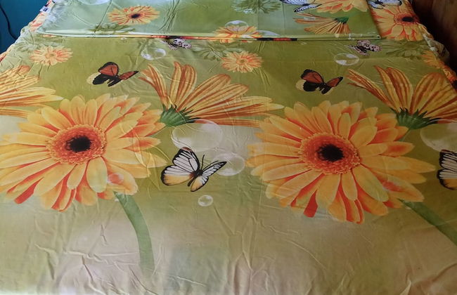 Berkey's Jungle Paradise - Photo 10