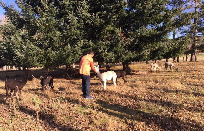 Galaxy Lounge - Foto 22