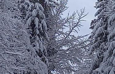 Ferienwohnung Kessler's Eifeldomizil - Foto 53