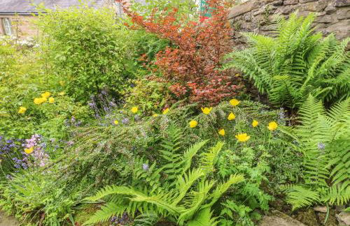 Holly Cottage - Foto 19