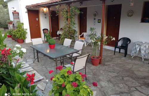 Armonia Guesthouse - Foto 51