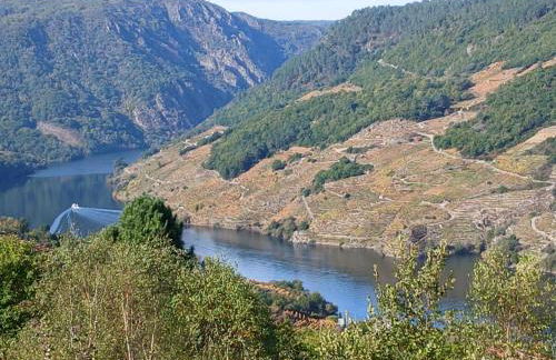 A Feitiña de Rubiacós - Foto 39