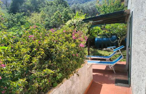 Villetta Sant'Andrea - Goelba - Foto 22