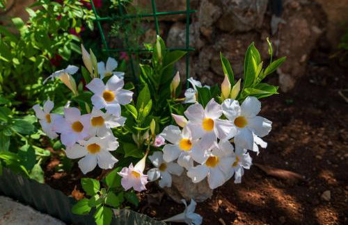 Island home Servantesa - Foto 37