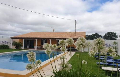 Família Gaiolas - Foto 14