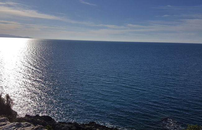 Poggiolivi Agriturismo Bio in Maremma - Photo 61