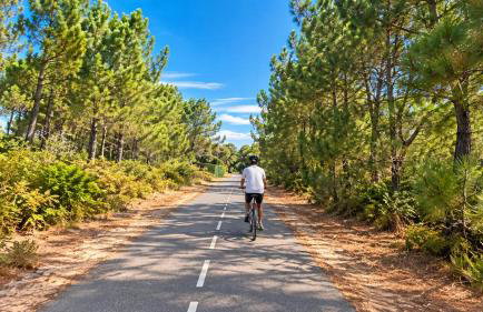 COCON entre Cap Ferret et plages - Grande terrasse - 2 vélos inclus - Foto 54