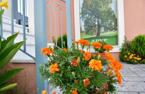 Studios Pantelis Corfu - Adults Only - Foto 14