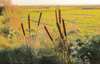 Apartment Seaside - Foto 34