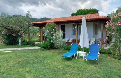 Bill & Eva's precious jewel - Photo 41