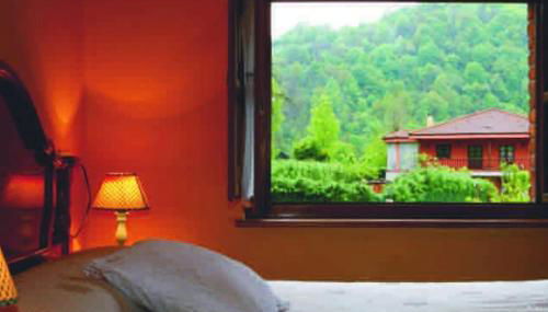 La Rotella, calma al lado de Cangas de Onís - Foto 4, Garden view