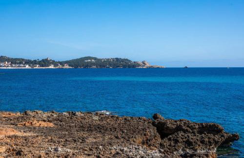 Finca Es Carregador - Photo 7