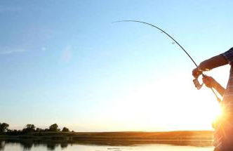 Homey Cabin Rentals Nestled in Nature along Kennebec River, Maine - Foto 6