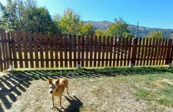 Monolocale Il Capriolo - Abetone - Foto 11