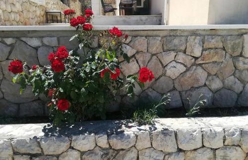 Apartments Ivanka - Photo 36