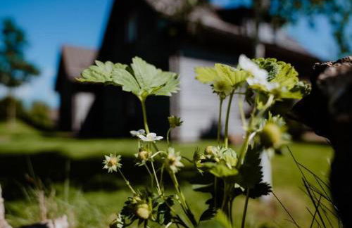 Ferienhäuser im Torfhaus Harzresort, Torfhaus - Foto 31