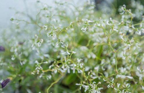 Ferienwohnung Auszeit mit Waldgeflüster 35231 - Foto 8