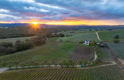 Vineyard Retreat - Foto 55