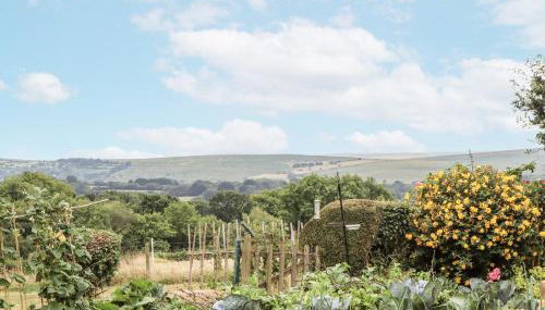 Aunty Junes Cottage - Photo 4