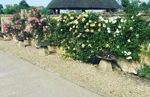 Groves Barn at Norton Grounds - Photo 25