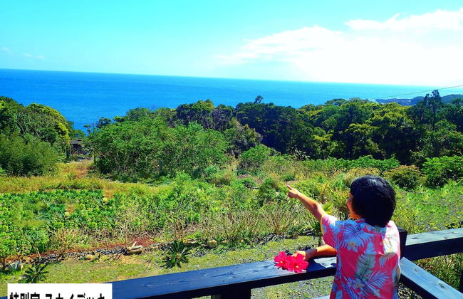 Yakushima Cottage Morino Fairy - Photo 13