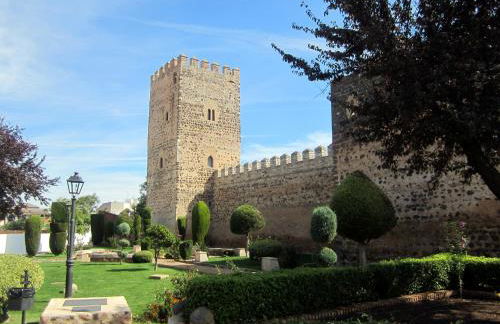 Casa rural La Esencia de Don Quijote - Foto 56