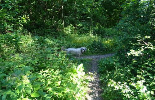 Sammy's FeWo - Foto 40