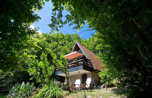 Mrežnički doživljaj - Foto 5