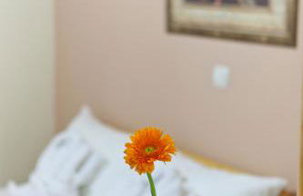 Villa PANORAMA - Foto 15