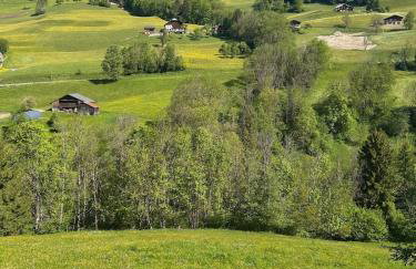 Appartement rénové au pied des pistes avec piscine, sauna, linge inclus et animaux acceptés - Foto 24