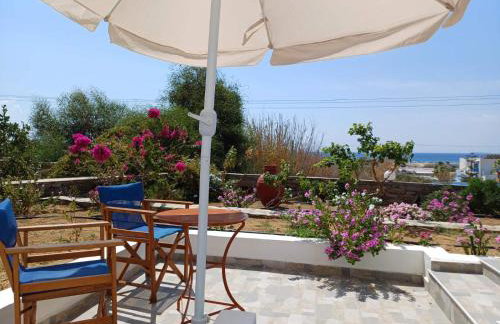 Dina's Diamond - Foto 52