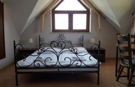 Willa Dzika Róża - Foto 6