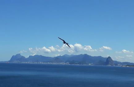 Casa Vista Panorâmica Itaipu - Foto 55