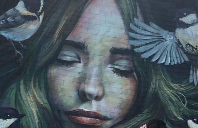 Tour dei graffiti a Houston - Foto 7