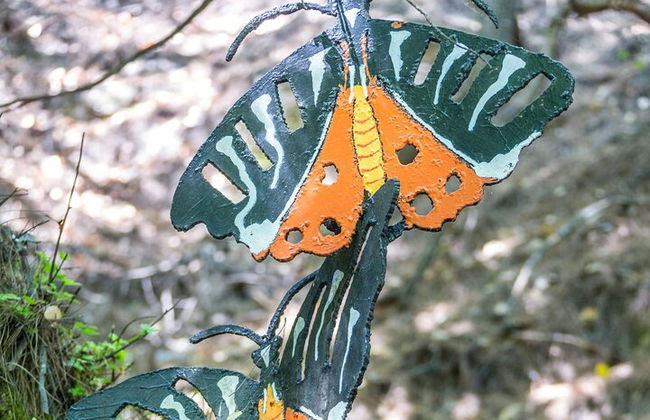 Tour dei villaggi di Rodi occidentali e della Valle delle farfalle - Foto 8