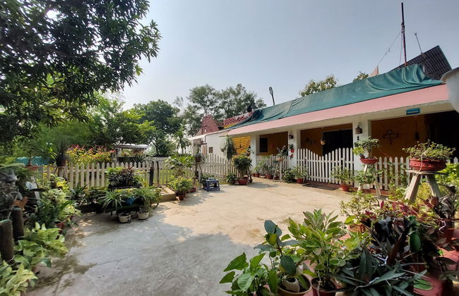 Koko's Farm - Foto 32