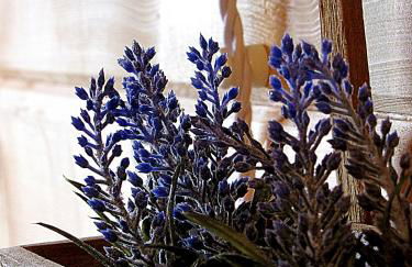 LAS CABAÑAS DEL LAGO En temporada incluye acceso piscina Las 2 columnas! - Foto 73