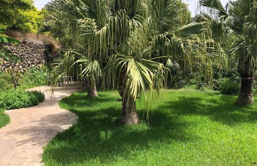 Tijarafe 2 - Foto 20