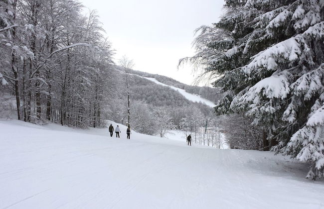 Residence Cimone - Foto 56