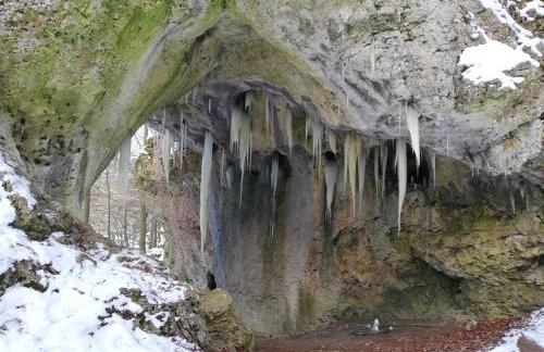 Apfelbluete und Paradies - Foto 30