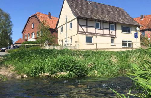 Ferienhaus in Amelgatzen mit Terrasse - Foto 2
