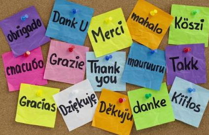 Dimitra Apartments Zakros Village - Photo 34