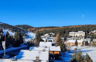 Apt confortable au pied des pistes et de la forêt - Foto 50