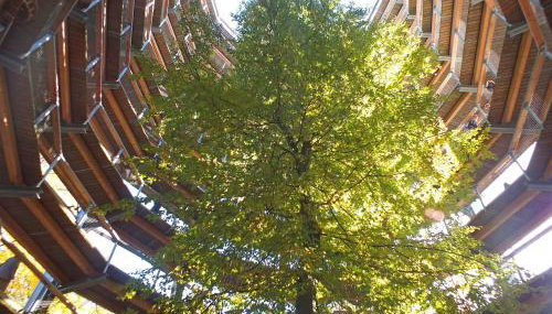 Ferienwohnung Grosser Seestern in Wiek - Foto 3