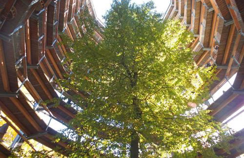 Ferienwohnung Kranichring in Negast nahe Stralsund - Foto 37